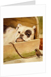 Bulldog and robin by Cecil Aldin