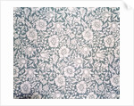 Mallow wallpaper specimen by Kate Faulkner