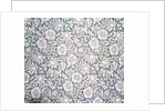 Mallow wallpaper specimen by Kate Faulkner