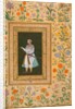 Mughal gentleman by Sultan 'Ali al-Mashhadi