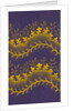 Textile design, from the Mulhouse Pattern Book. France, 19th century by Anonymous