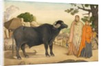 Two women and a buffalo in the village of Rania by Unknown
