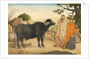 Two women and a buffalo in the village of Rania by Unknown