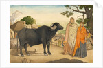 Two women and a buffalo in the village of Rania by Unknown