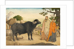 Two women and a buffalo in the village of Rania by Unknown