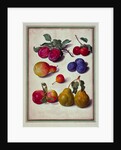 Plums by Apples and Pears
