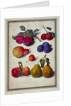 Plums by Apples and Pears