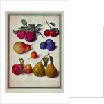 Plums by Apples and Pears
