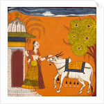 Lady stroking a bull by Unknown