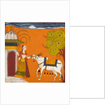Lady stroking a bull by Unknown