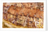 Cottages at Crouch End Hill by Constance L. Lee