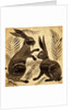 Two Rabbits or Hares by William Frend De Morgan