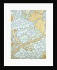 St James wallpaper by William Morris
