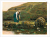 The Winkle Collector by John Dawson Watson