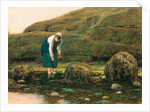 The Winkle Collector by John Dawson Watson