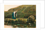 The Winkle Collector by John Dawson Watson