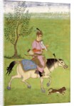 Horseman by Unknown