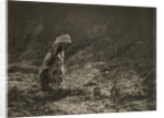 Woman Raking by Paul Martin