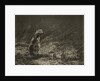Woman Raking by Paul Martin