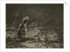 Woman Raking by Paul Martin
