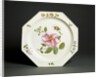 Plate by Unknown