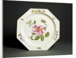 Plate by Unknown
