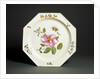 Plate by Unknown