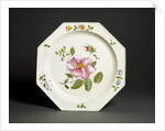 Plate by Unknown