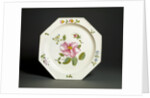 Plate by Unknown