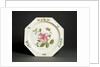 Plate by Unknown
