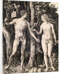Adam and Eve by Albrecht Durer