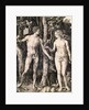 Adam and Eve by Albrecht Durer