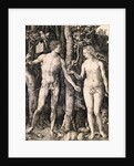 Adam and Eve by Albrecht Durer