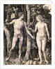 Adam and Eve by Albrecht Durer