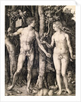 Adam and Eve by Albrecht Durer