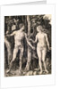 Adam and Eve by Albrecht Durer