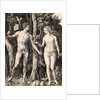 Adam and Eve by Albrecht Durer