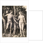 Adam and Eve by Albrecht Durer