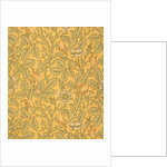 Tom Tit wallpaper by John Henry Dearle