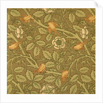 Tom Tit wallpaper by John Henry Dearle