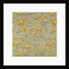 Tom Tit wallpaper by John Henry Dearle