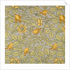 Tom Tit wallpaper by John Henry Dearle