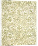 Carnation wallpaper by Kate Faulkner
