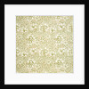 Carnation wallpaper by Kate Faulkner