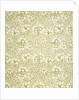 Carnation wallpaper by Kate Faulkner
