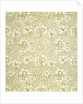 Carnation wallpaper by Kate Faulkner