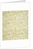 Carnation wallpaper by Kate Faulkner