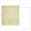 Carnation wallpaper by Kate Faulkner