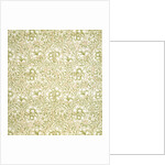 Carnation wallpaper by Kate Faulkner