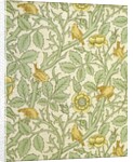 Tom Tit wallpaper by John Henry Dearle